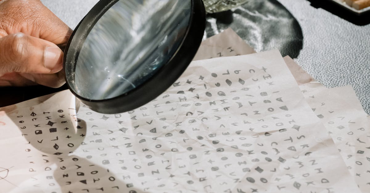The Role of Background Checks in Employment Law Investigations